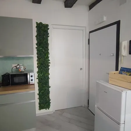 Sagegreən Flat Genua